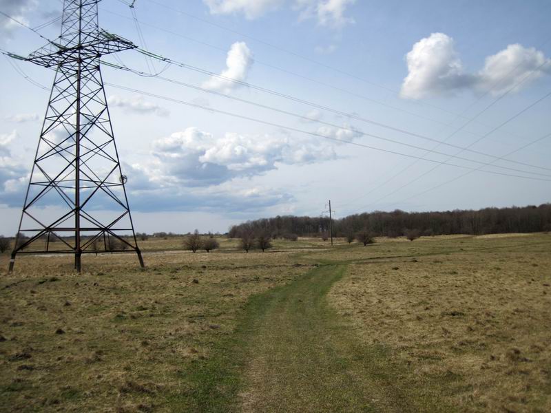 С травяным покрытием