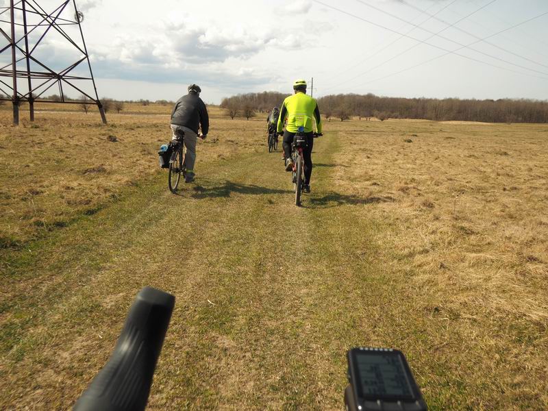 Едем полями