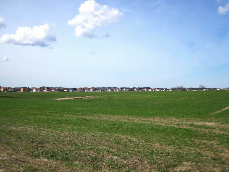 Одноэтажные дома Гурьевска за полем