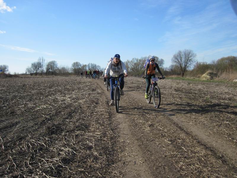 Едем по ней