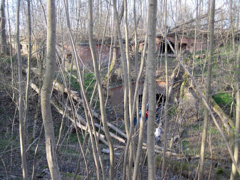 Внутренний двор форта зарос деревьями