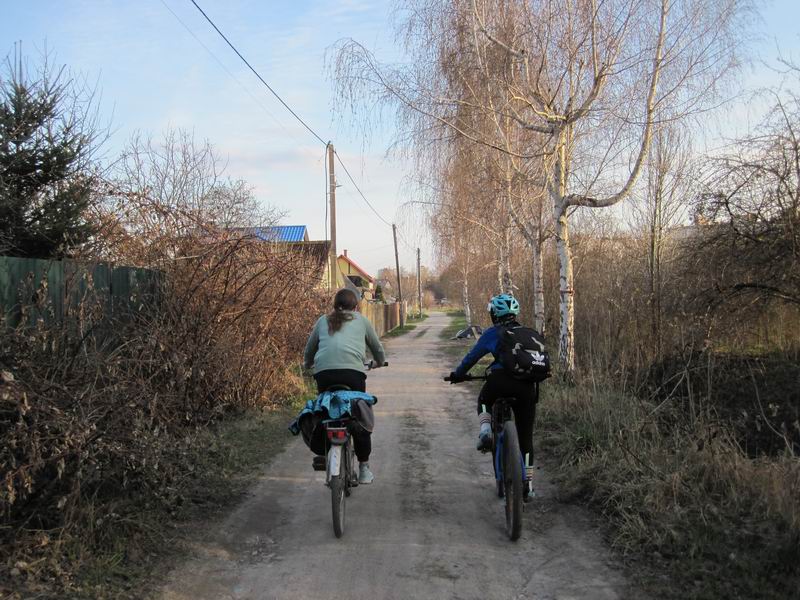 Проезжаем берёзки