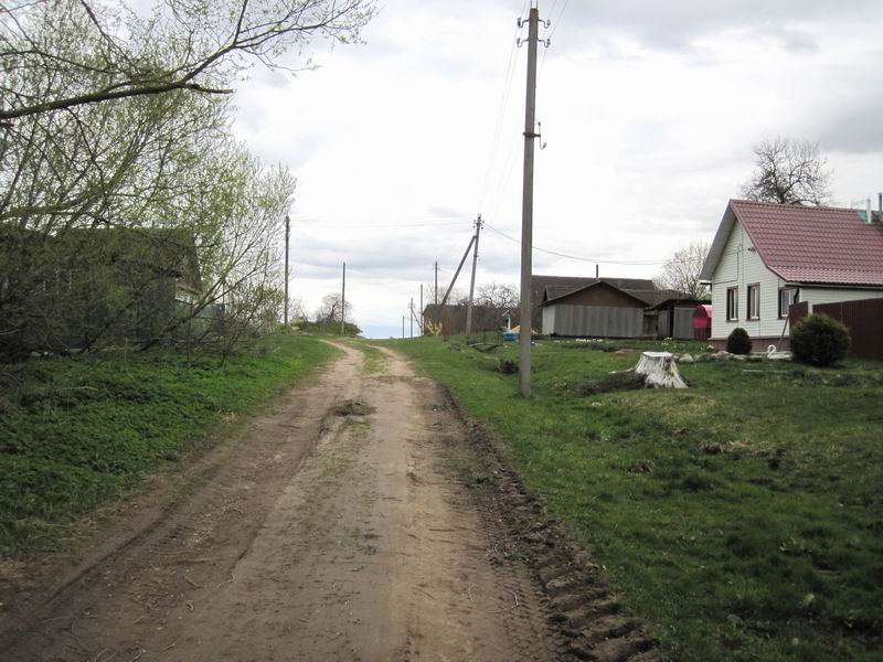 Проезжаю деревню Залоницкие
