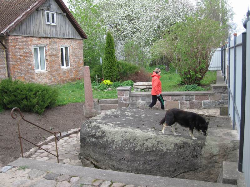 Осматриваем его