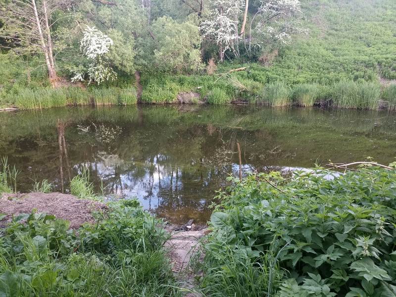 Анграпа на месте крайней ночёвки