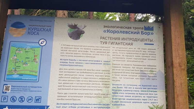 Туристическая информация